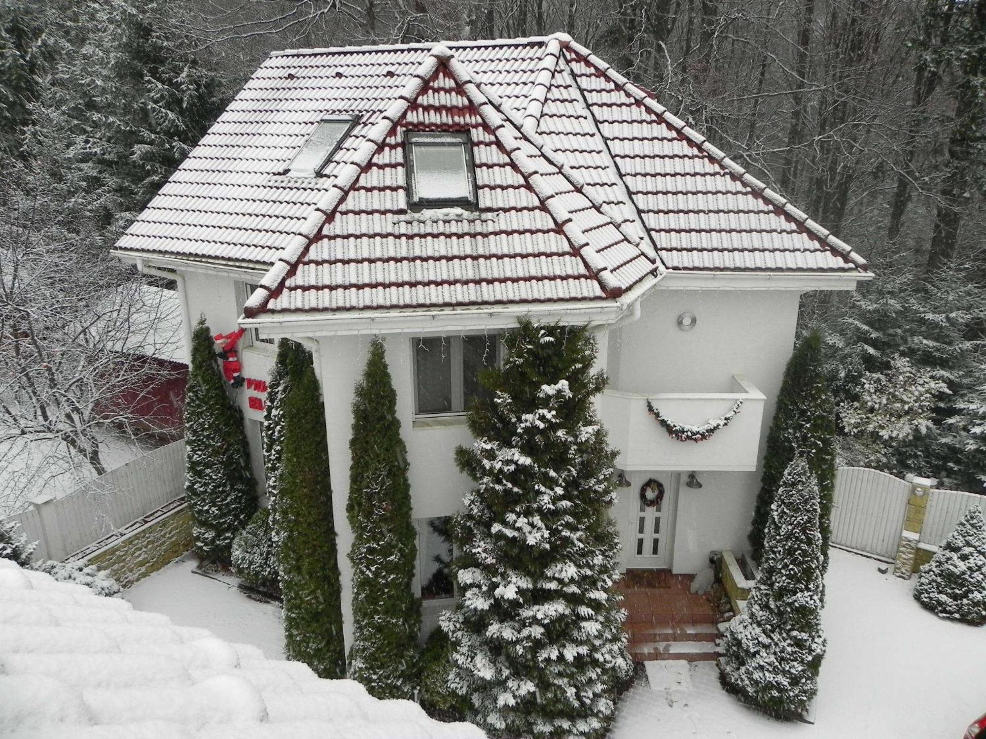 Boutique Hotel Forest Retreat (Adults Only) Szászbuda Kültér fotó