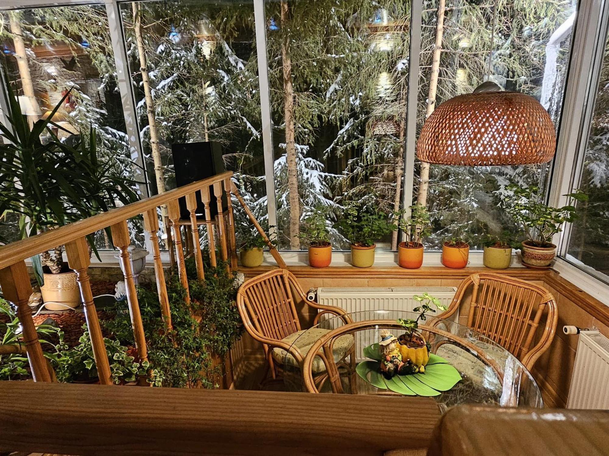 Boutique Hotel Forest Retreat (Adults Only) Szászbuda Kültér fotó